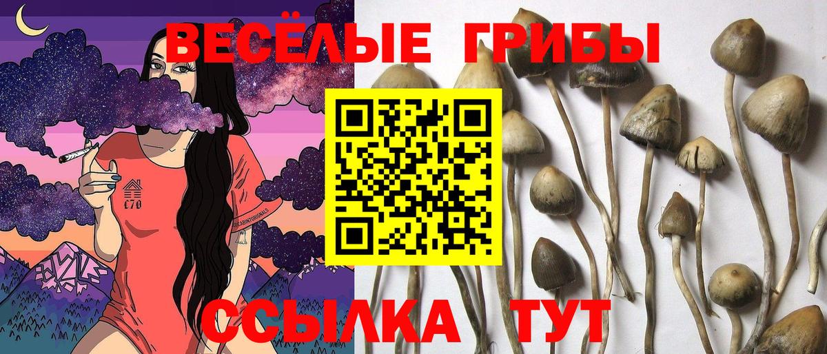 Галлюциногенные грибы MAGIC MUSHROOMS  Галлюциногенные грибы Psilocybine cubensis  Вход с VPN  Ханты-Мансийск 